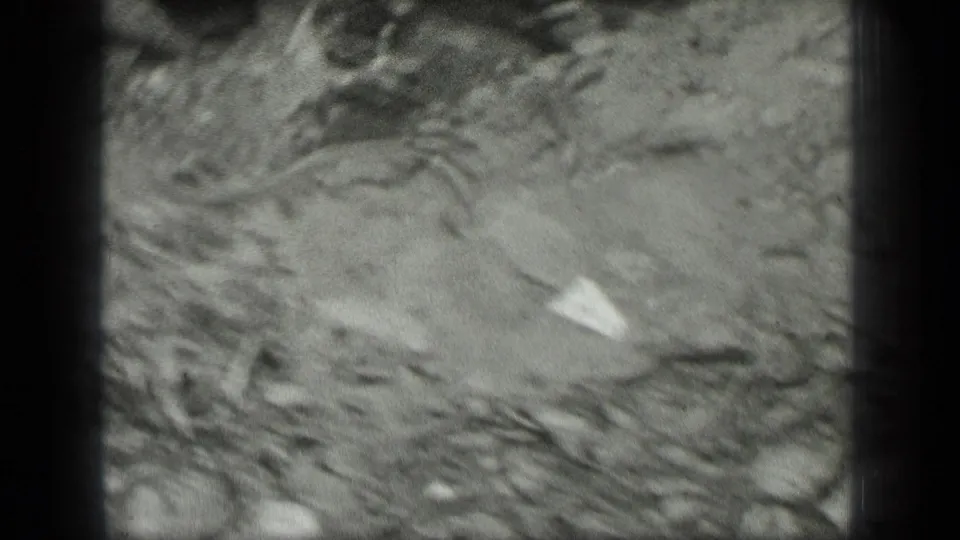 Soft black-and-white 8mm frame showing ground cover near the snake's path, with leaves, twigs, and a pale scrap visible.