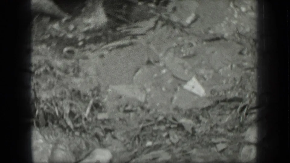 1939 Long Lake, Canada 8mm frame showing a small snake partly visible among stones, twigs, and shoreline debris.