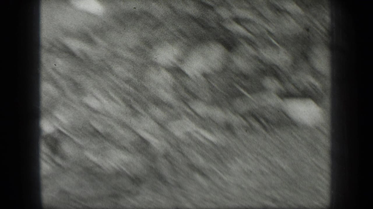 Blurred rocky ground with shallow water texture and a pale stone at the edge.