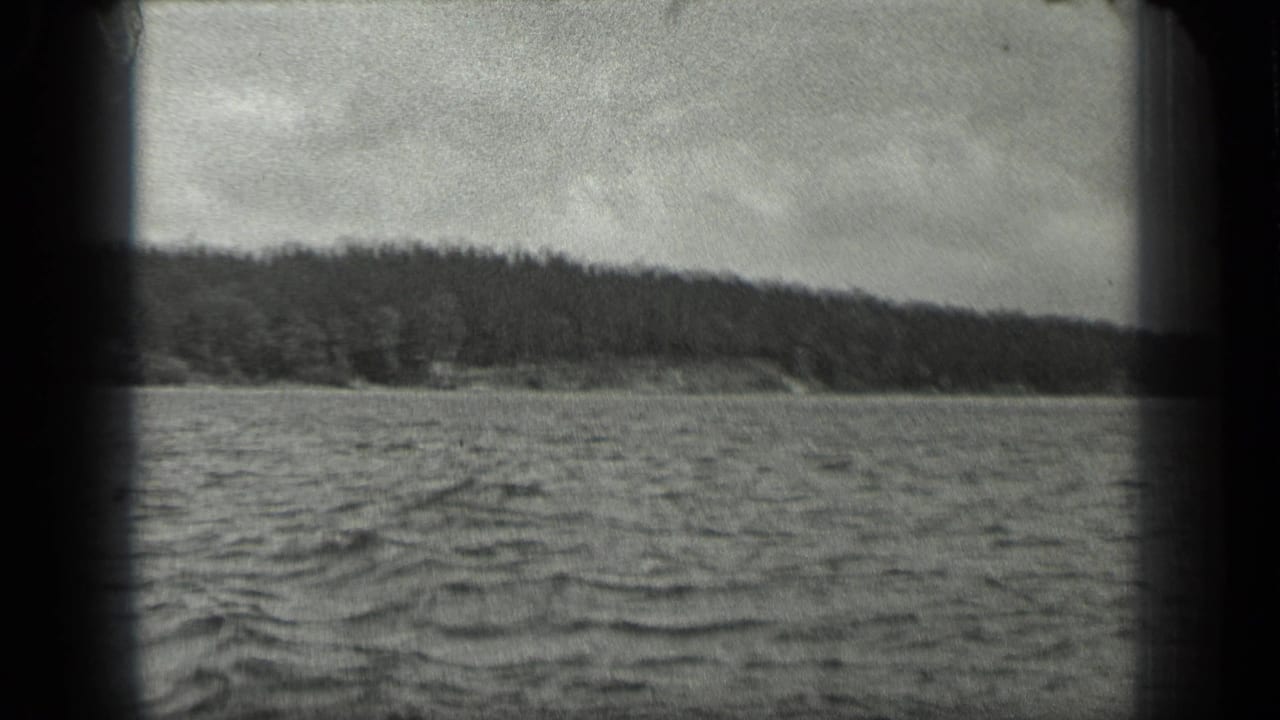 Rippled lake water with a wooded shoreline under an overcast sky.
