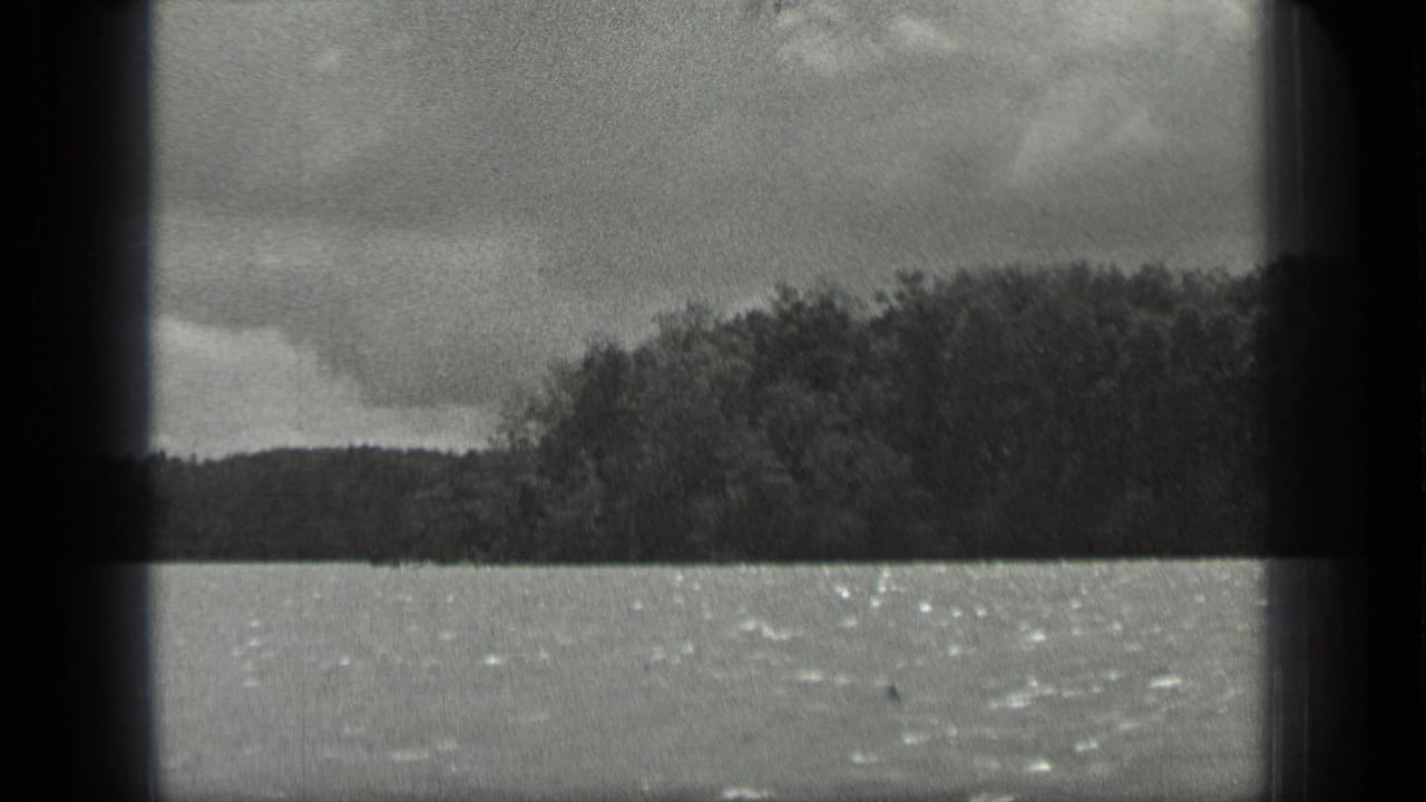 Distant wooded shoreline across a lake under a cloudy sky.