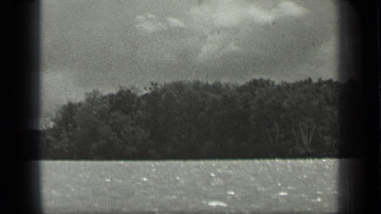 Lake water and dense treeline viewed through dark film-frame borders.