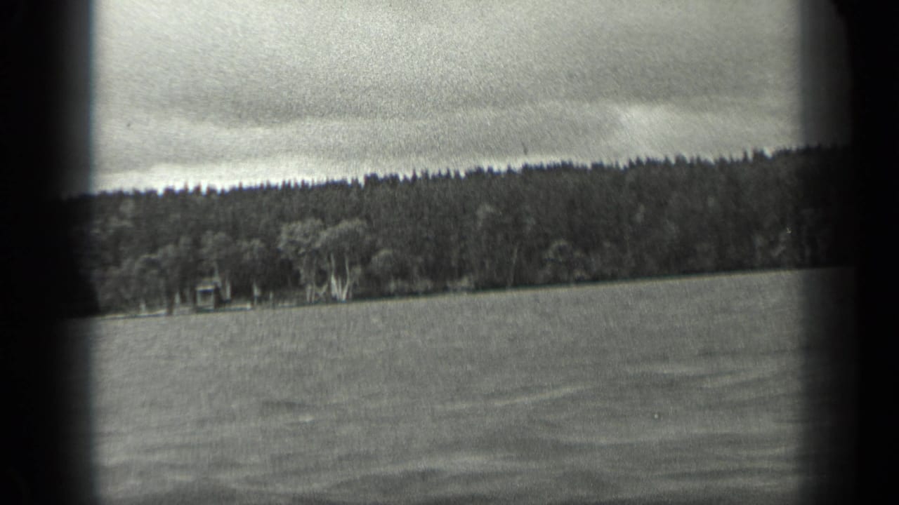 Rippling lake water with a distant wooded shoreline under an overcast sky.