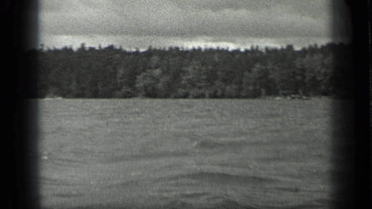 Lake water facing a distant forested shoreline under an overcast sky.