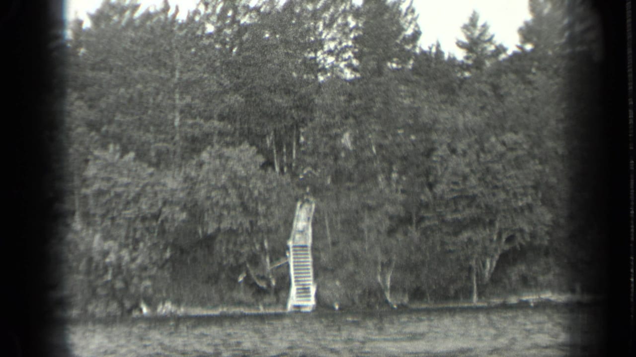 Forested lakeshore with a small dock or ladder-like structure beside rippled water.