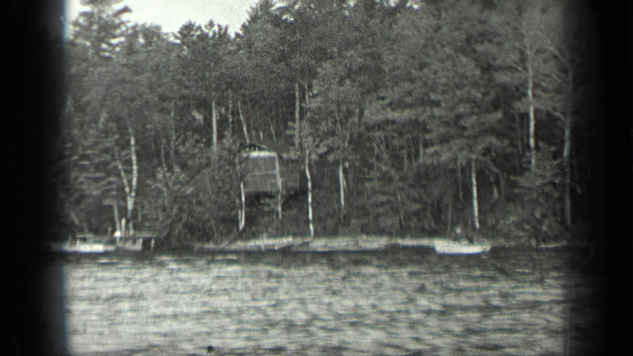 Lake water in front of a wooded shore with a small elevated dock or platform.