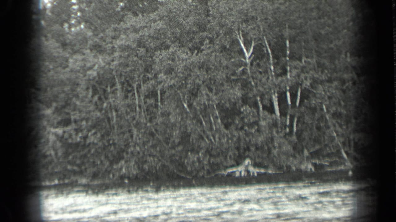Rippling lake water in front of a dense wooded shoreline.
