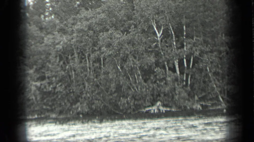 1939 8mm home-movie view of Long Lake, Canada, with dark trees meeting rippling water at the shoreline.