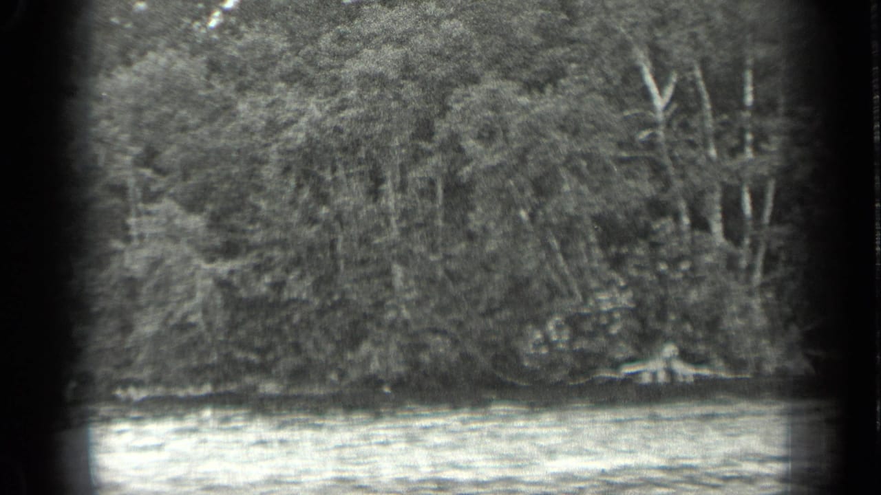 Wooded shoreline with lake water and dark rounded film edges.