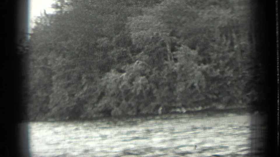 Soft black-and-white 8mm view of a forested Long Lake shoreline with water filling the lower frame.