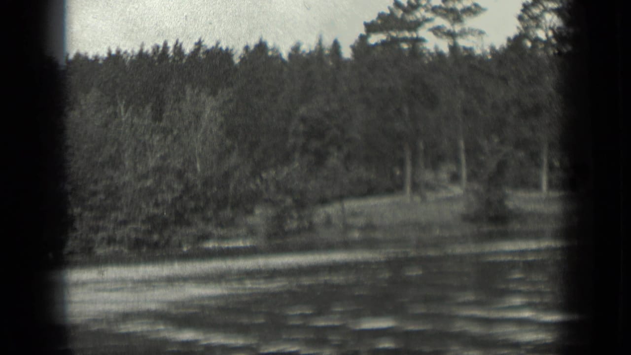 Rippling lake water with a wooded shoreline and trees beyond.