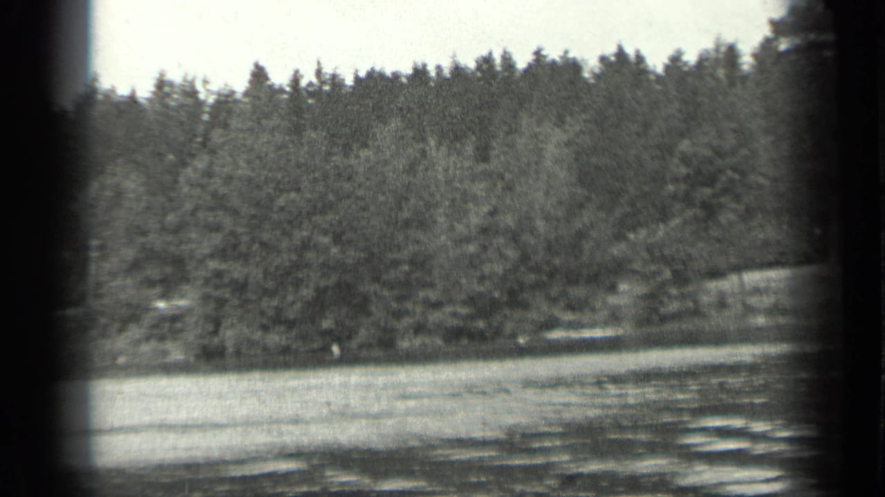 Tree-covered shoreline across lake water with dark frame borders.