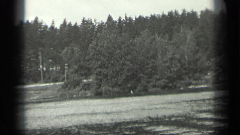 1939 8mm home-movie frame showing Long Lake water with layered trees and shoreline vegetation beyond.