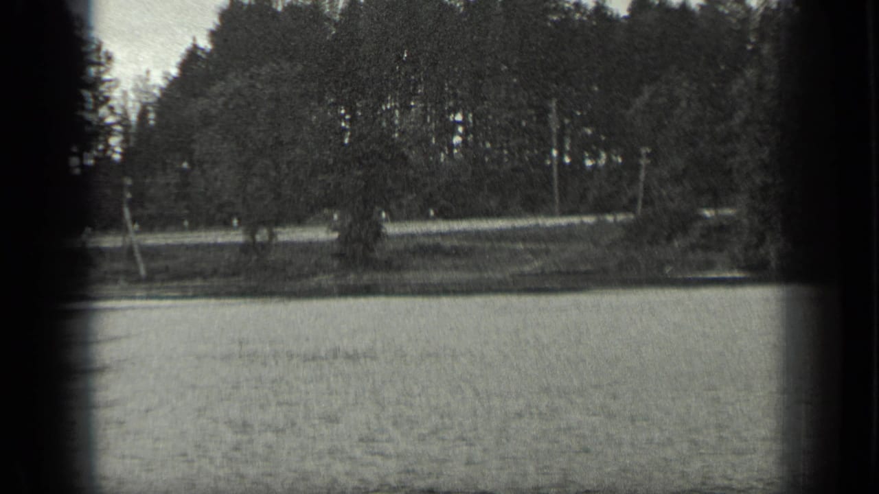Calm water with a wooded shoreline and dark film gate edges.