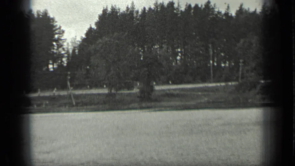 Long Lake shoreline footage shows water, a pale roadside or bank, and dense trees in black-and-white 8mm texture.