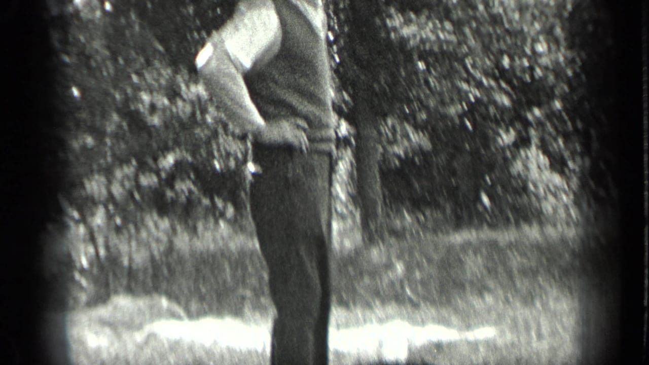 Standing man in light shirt and dark vest at the edge of a grassy park.