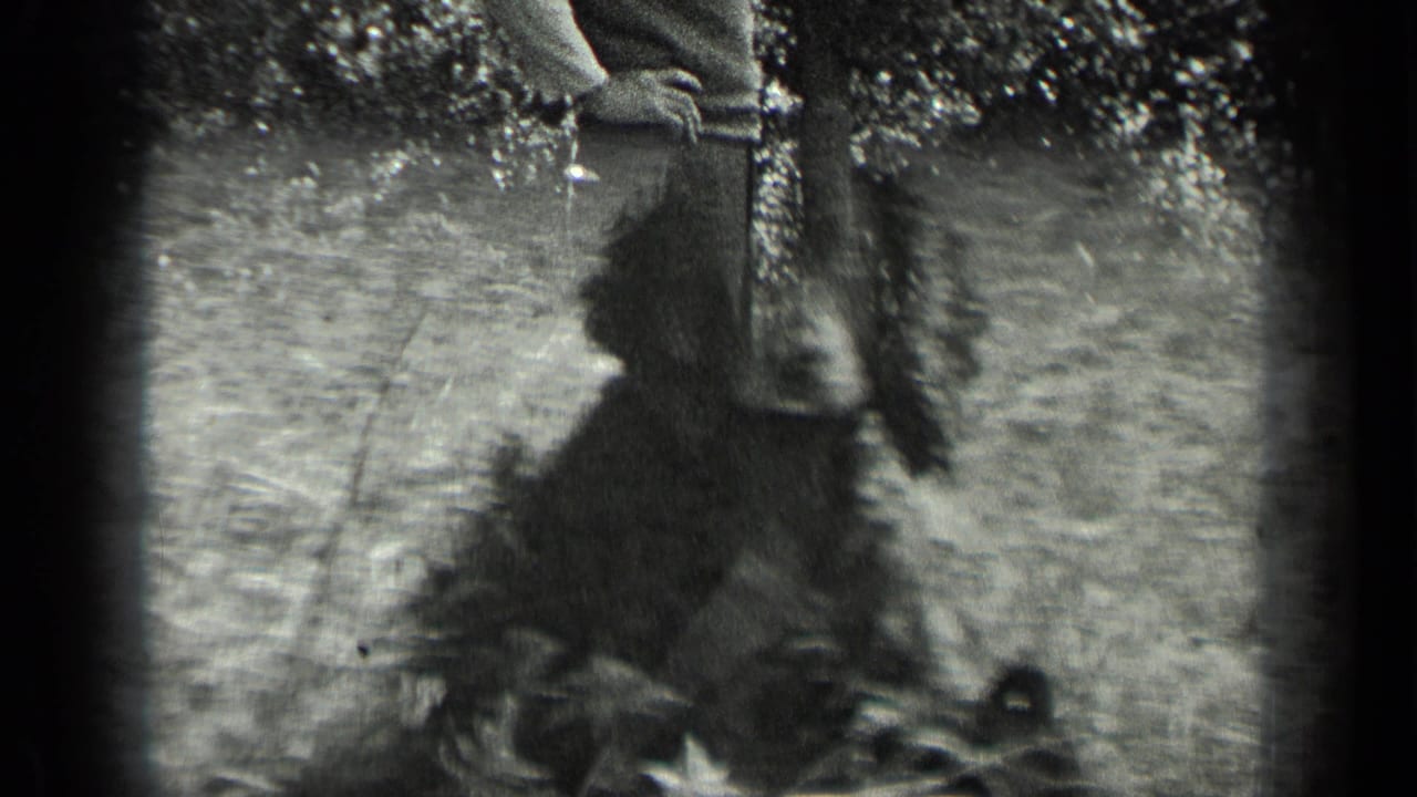 Dog sitting on grass below the cropped legs of a standing man.