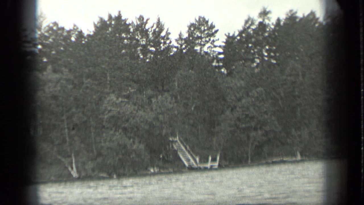 Distant wooded lakeshore with a small wooden dock and ladder beside rippling water.