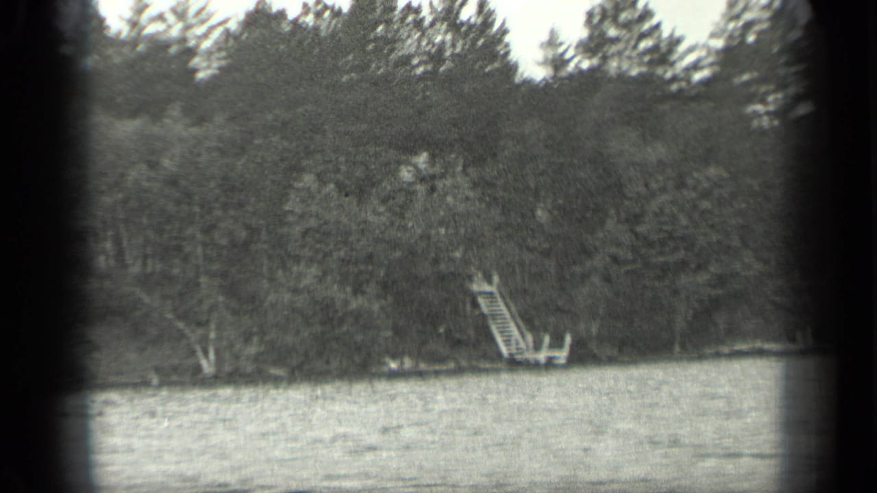 Forested shoreline across a lake with a small dock and ladder near the waterline.