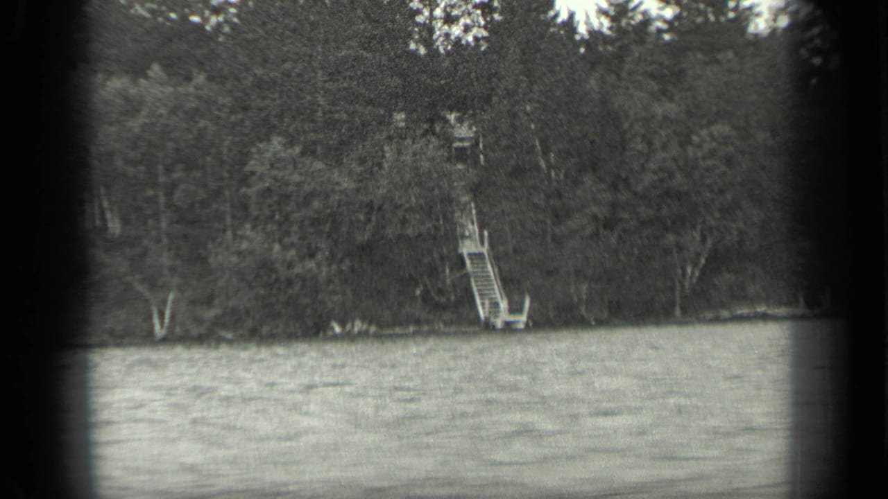 A soft black-and-white frame shows the Long Lake shoreline, with a wooden ladder rising from a small dock against dense forest.