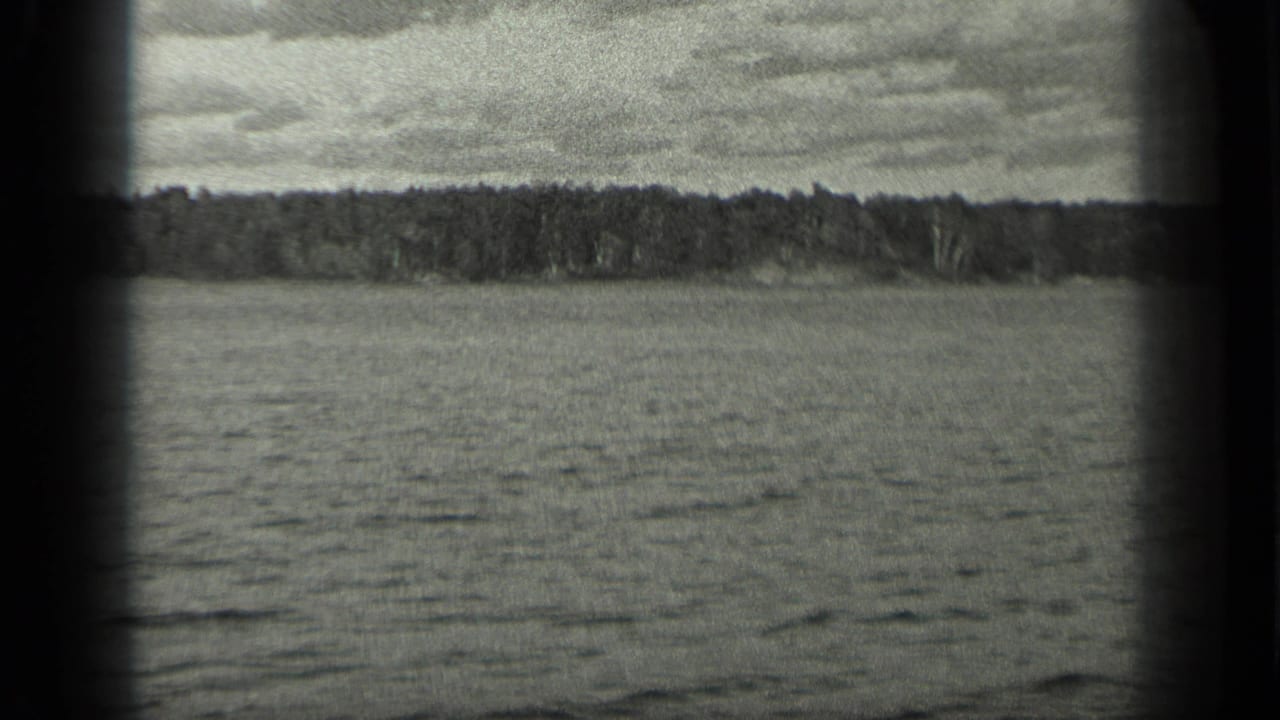 Wide lake surface with distant forest shoreline under a cloudy sky.
