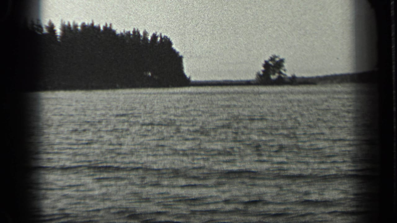 Rippling lake water with a dark tree-lined shore and bright sky.