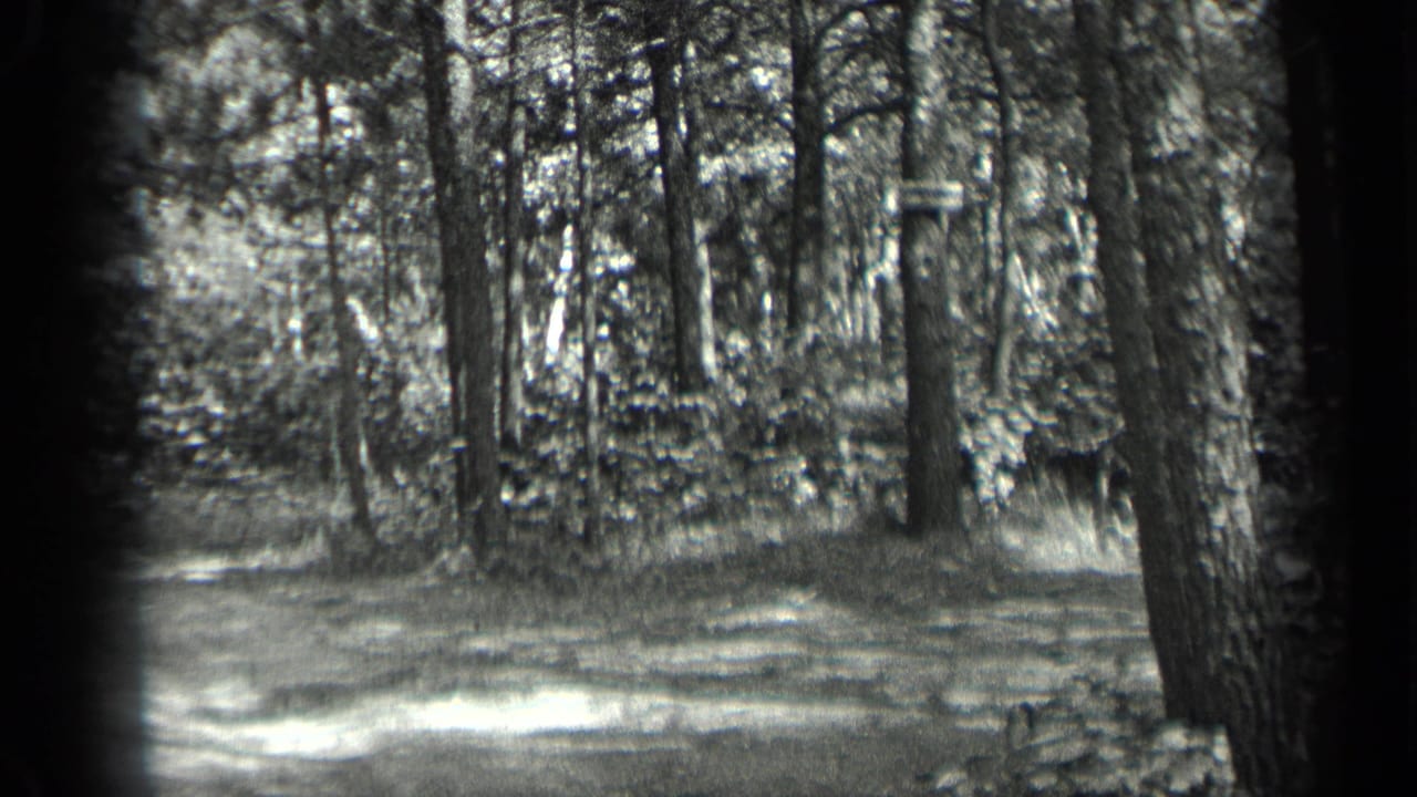 1939 Long Lake, Canada home-movie frame showing a shaded forest path, tree trunks, brush, and sunlit ground.
