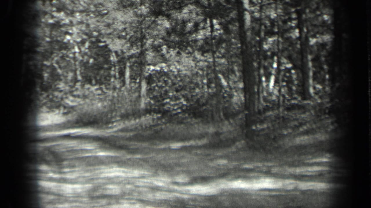 1939 Long Lake, Canada frame with a pale woodland path curving through shaded trees and thick vegetation.