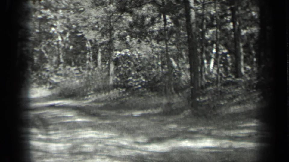 1939 Long Lake, Canada frame with a pale woodland path curving through shaded trees and thick vegetation.
