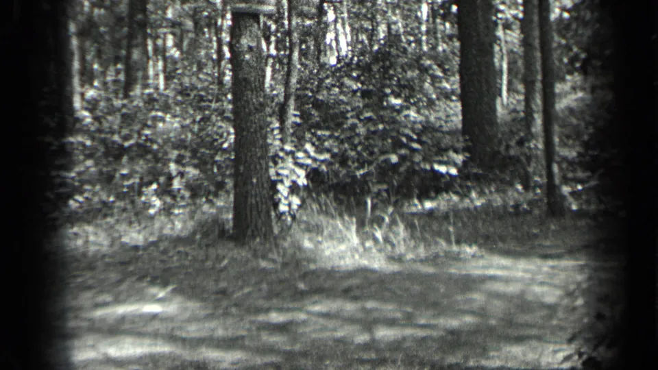 1939 Long Lake, Canada 8mm frame showing a shaded forest path among tall trees and leafy undergrowth.