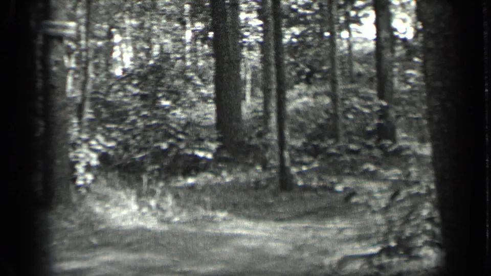 1939 Long Lake, Canada home-movie frame with a quiet wooded lane, vertical tree trunks, and soft 8mm exposure.