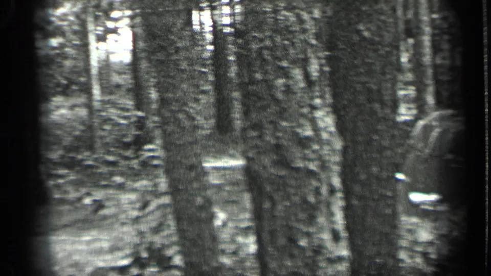 Black-and-white 1939 Long Lake frame showing close tree trunks and a partial vintage car shape near the path edge.