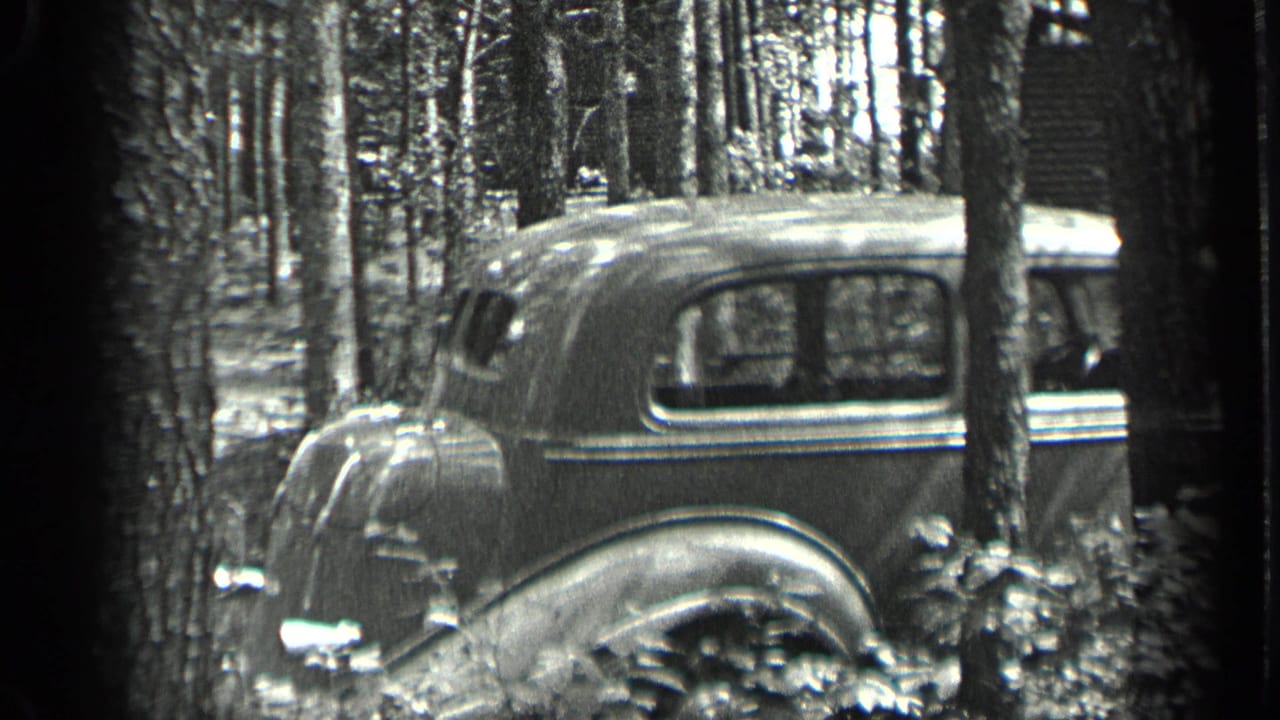 Vintage car parked among tall trees in a wooded area.