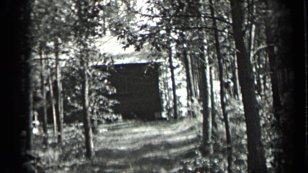 Wooded driveway leading toward a small cabin partly hidden by trees.