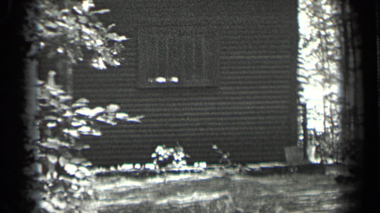 Cabin exterior with trees, brush, and a pump-like fixture near the wall.