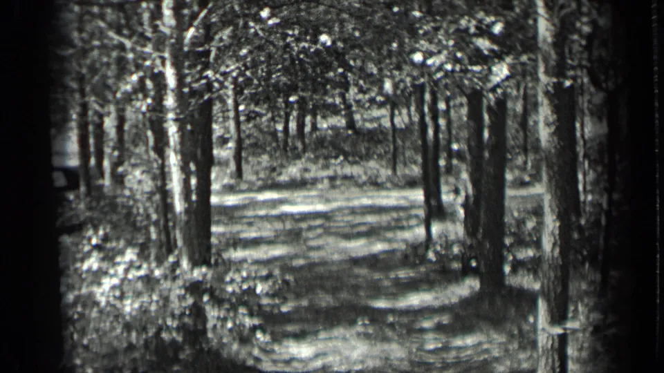 1939 Long Lake, Canada frame looking into trees and brush near the cabin, with sunlit ground and no people visible.