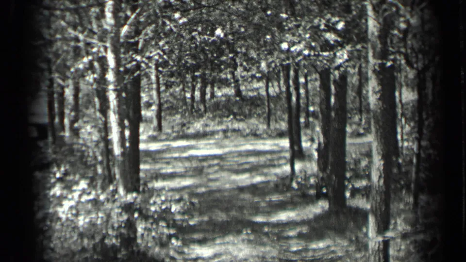 Black-and-white 8mm frame of a Long Lake woodland path, with trunks framing bright sunlight on the ground.