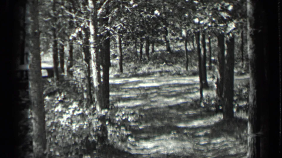 1939 home-movie view of a wooded Long Lake path, with dense trees, shrubs, and mottled light across the forest floor.