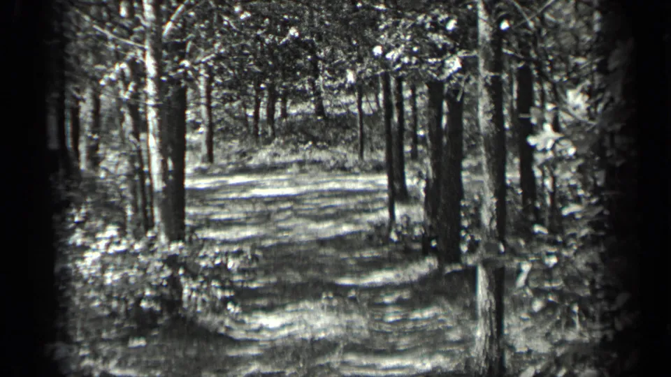 1939 Long Lake, Canada home-movie still showing a shaded path framed by trees and undergrowth.