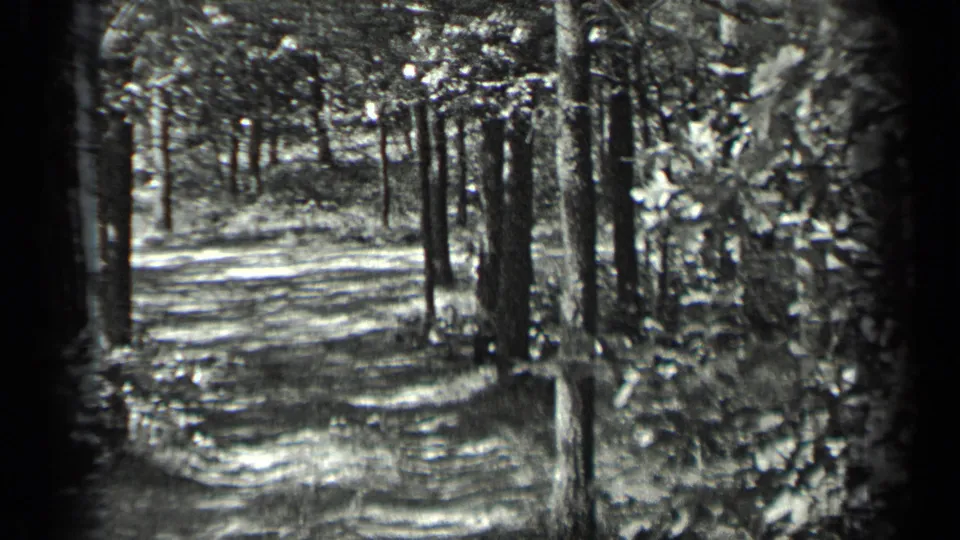 1939 Long Lake, Canada frame showing the forest path continuing between closely spaced trunks and leaves.