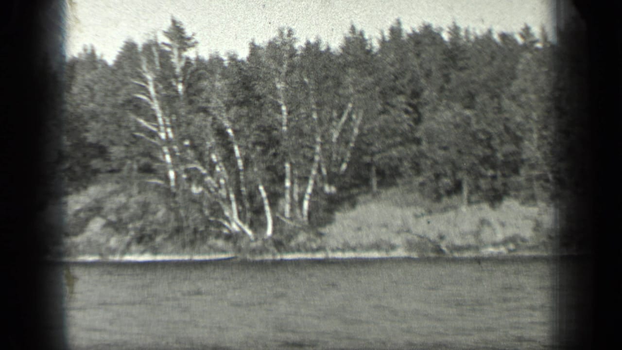 Long Lake shoreline in Canada, dated 1939 by metadata, with water, pale trunks, brush, and dark forest beyond.