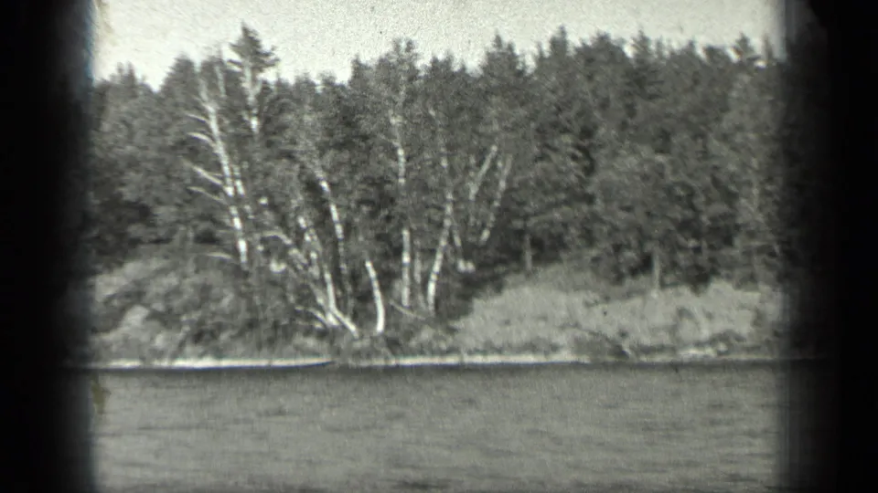 Long Lake shoreline in Canada, dated 1939 by metadata, with water, pale trunks, brush, and dark forest beyond.