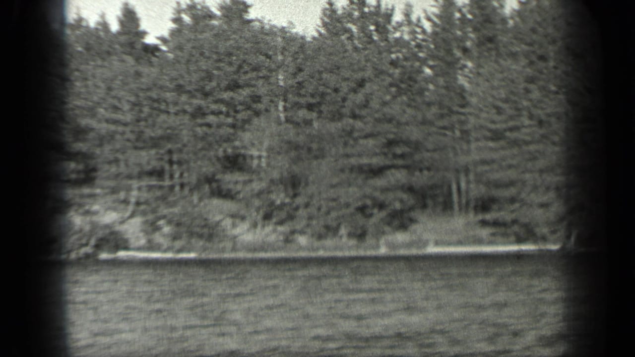 Rippling lake water in front of a dense evergreen shoreline.