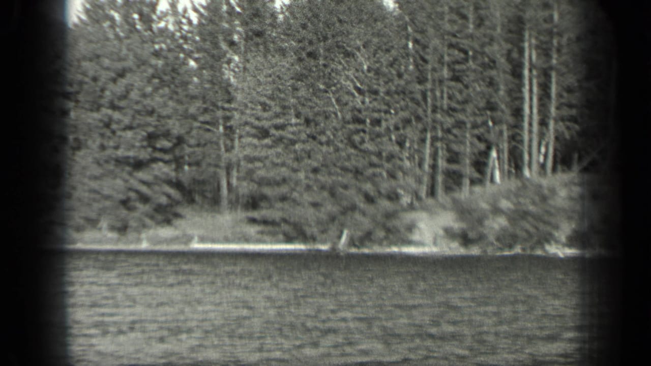 Wooded shoreline with evergreen trees and calm water in the foreground.