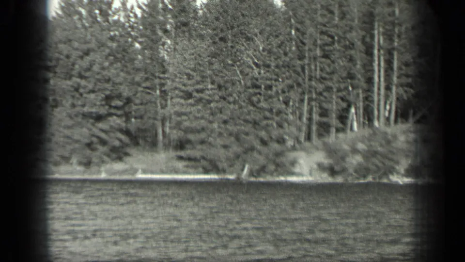 1939 Long Lake, Canada shoreline with dense pines, pale trunks, and textured water in a black-and-white 8mm frame.