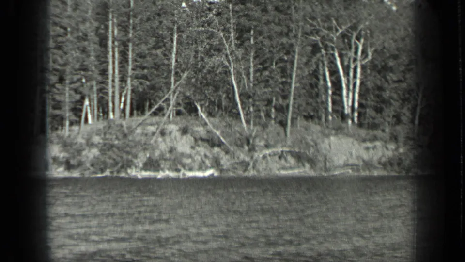 1939 Long Lake, Canada view of a forested lakeshore with pale trunks, brush, and rippling water.