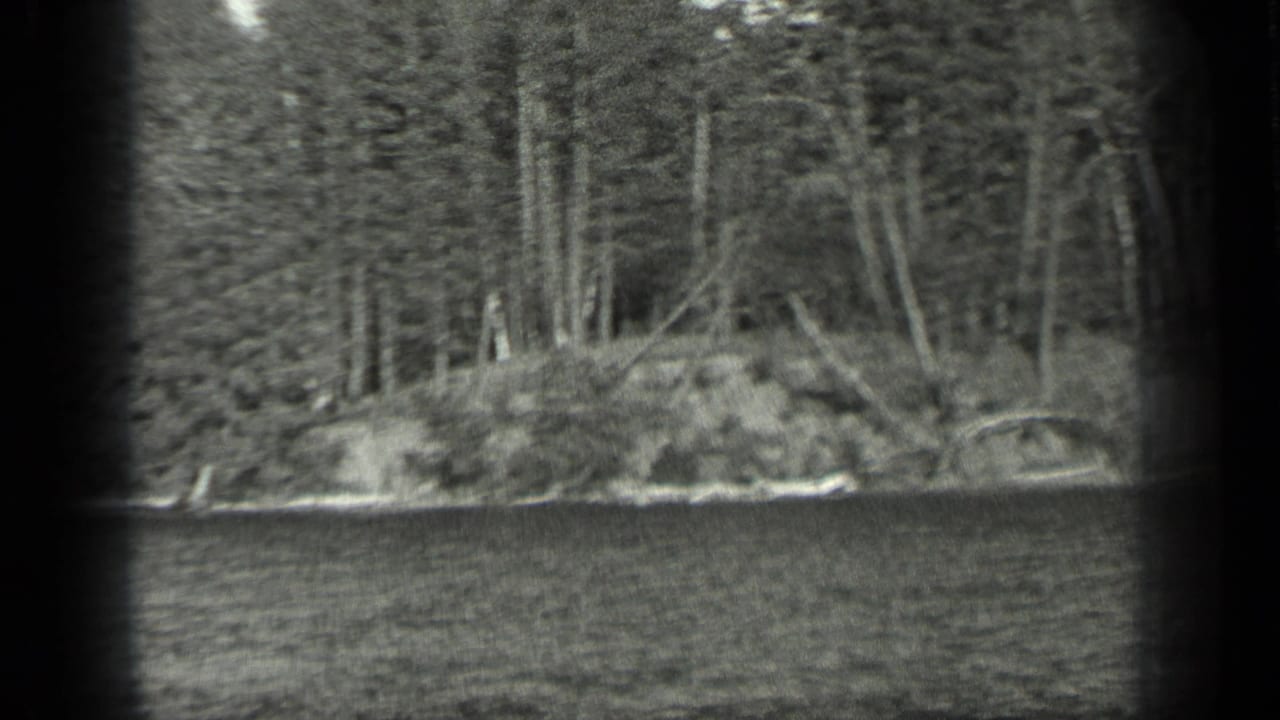 Wooded shoreline beside rippled lake water with dark 8mm frame edges.