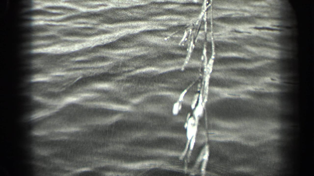 Black-and-white 1939 home-movie frame showing fishing tackle suspended above Long Lake water.