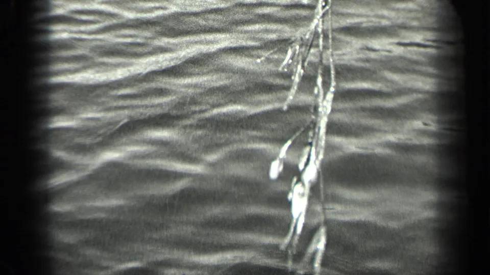 Black-and-white 1939 home-movie frame showing fishing tackle suspended above Long Lake water.
