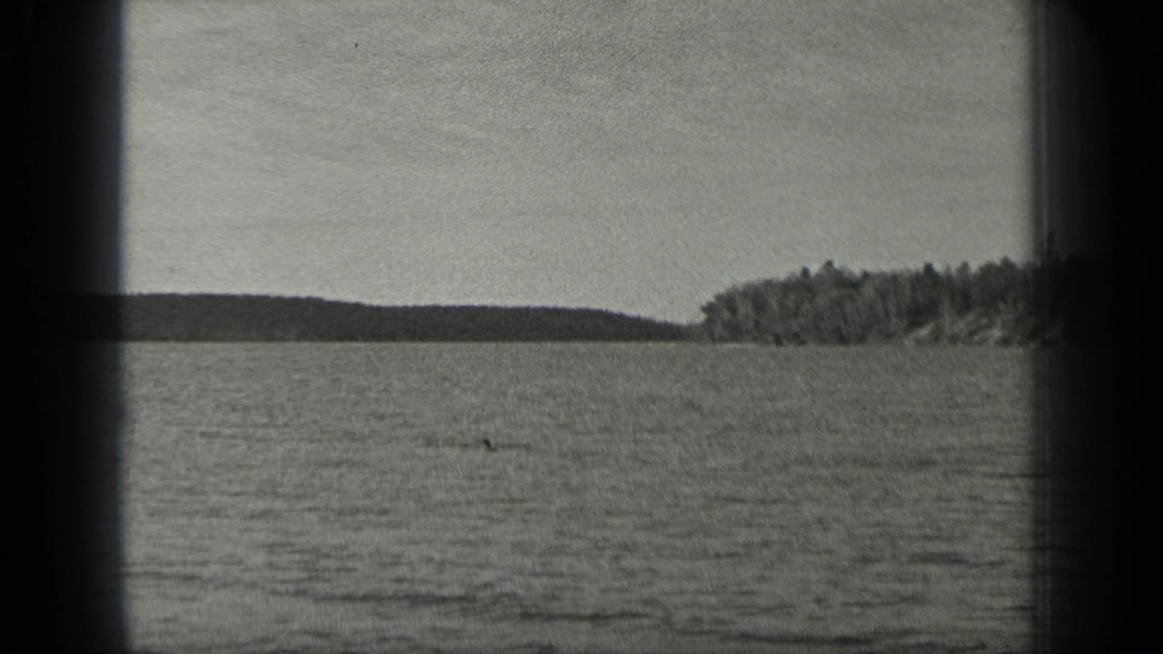 Wide view of rippled lake water with a distant wooded shoreline under a pale sky.